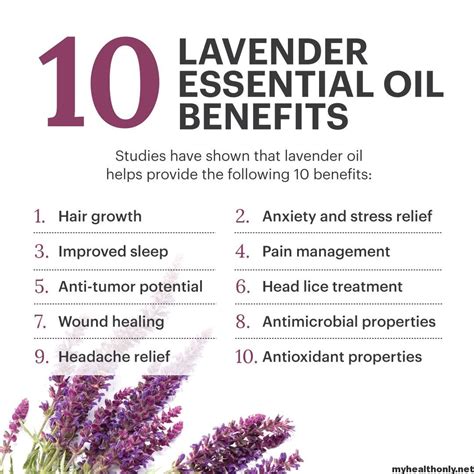 The Magic of Lavender's Essential Oil: A Natural Remedy for Anxiety and Stress